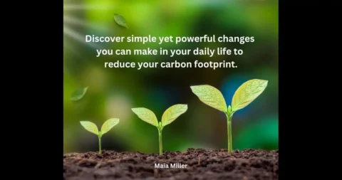 Just Energy Solutions for a Greener Future: Tips and Tricks for Sustainable Living Future