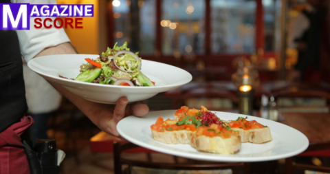 Exploring Naturaplug.com: Your Ultimate Guide to Sustainable Living and Eco-Friendly Solutions Naturaplug.com