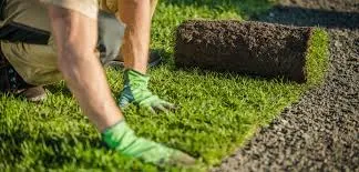 Everything You Need to Know About TurfFit and Turf Glasgow: Revolutionizing Lawn Care Everything You Need to Know About TurfFit and Turf Glasgow: Revolutionizing Lawn Care