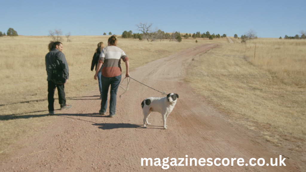 The Legend of the Skinwalker Dog Myths, Encounters, and Folklore skinwalker dog