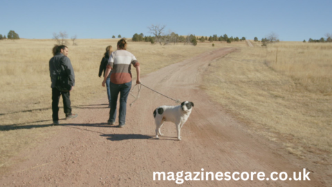 The Legend of the Skinwalker Dog Myths, Encounters, and Folklore skinwalker dog