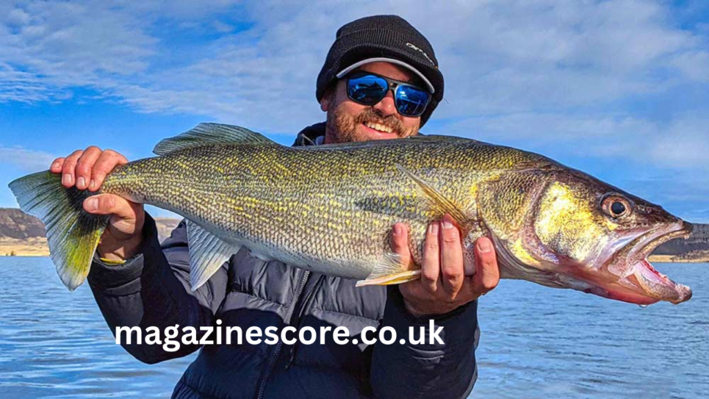 Walleye Fishing Tips, Techniques, and Strategies walleye fishing