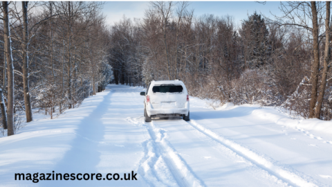 Feather Snow Road A Journey Through the Enchanted Winter Wonderland feather snow road