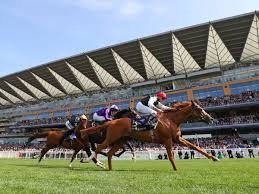 Goodwood or Royal Ascot 2025