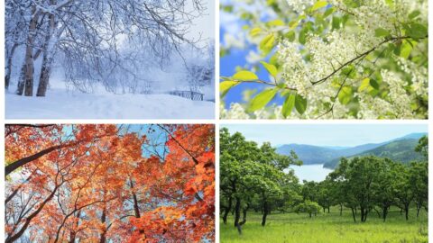 Navigating the Seasons