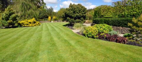 The Ultimate Guide to Lawn Care and Turf Management The Ultimate Guide to Lawn Care and Turf Management